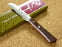 Miyabi Issin Paring Knife 3.5 inches